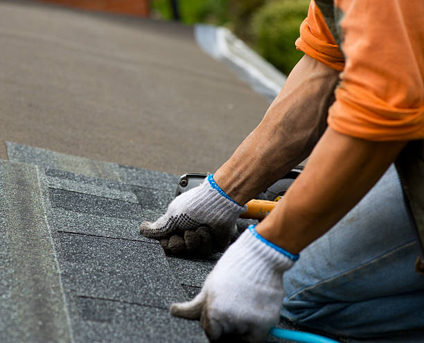 Best Metal Roofing Contractor  in Upper Sandusky, OH